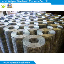 Stainless Steel Welded Wire Mesh Stainless Steel Wire Mesh